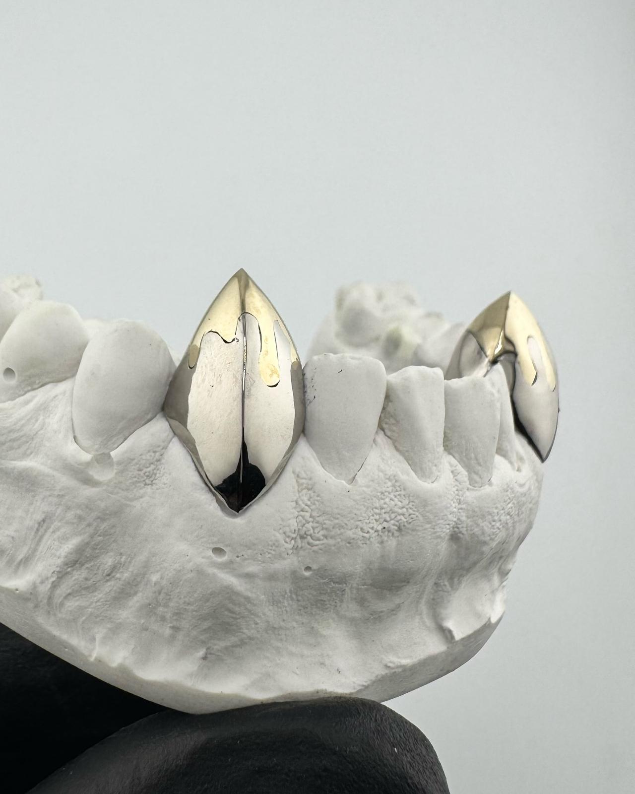 Silver Fang Grillz · Dr. Mervan Dental Clinic
